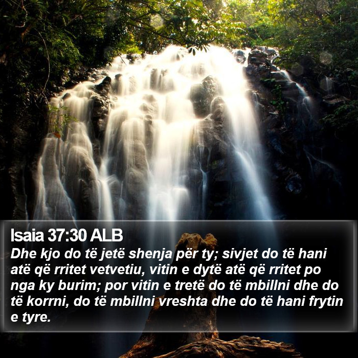 Isaia 37:30 ALB Bible Study