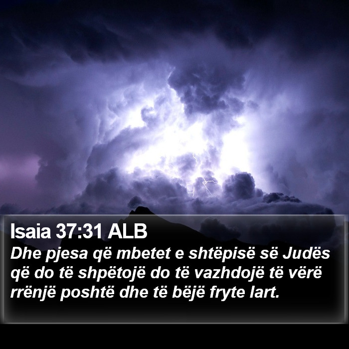 Isaia 37:31 ALB Bible Study