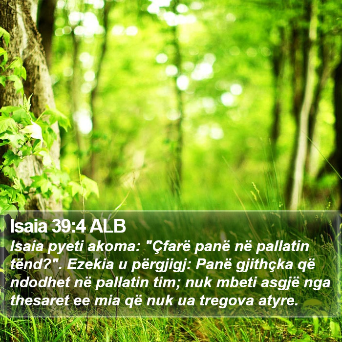 Isaia 39:4 ALB Bible Study