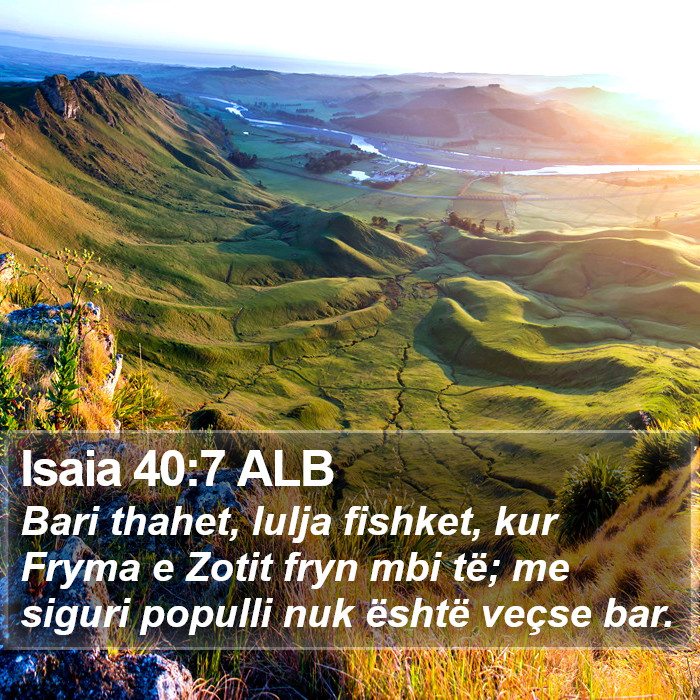 Isaia 40:7 ALB Bible Study