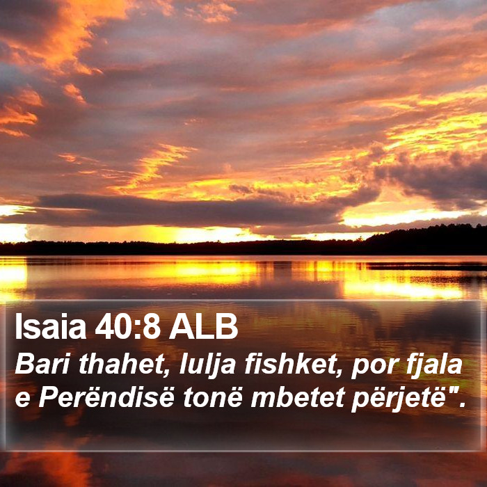 Isaia 40:8 ALB Bible Study