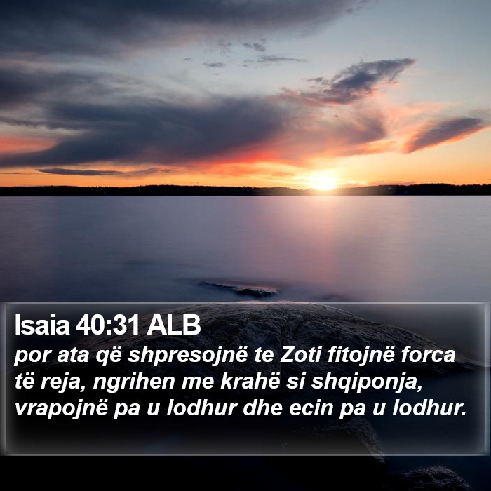 Isaia 40:31 ALB Bible Study