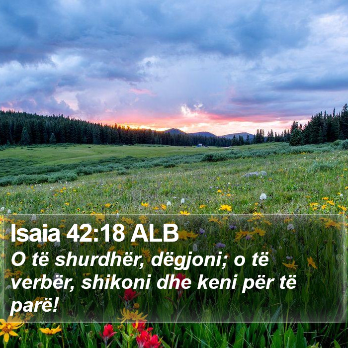 Isaia 42:18 ALB Bible Study