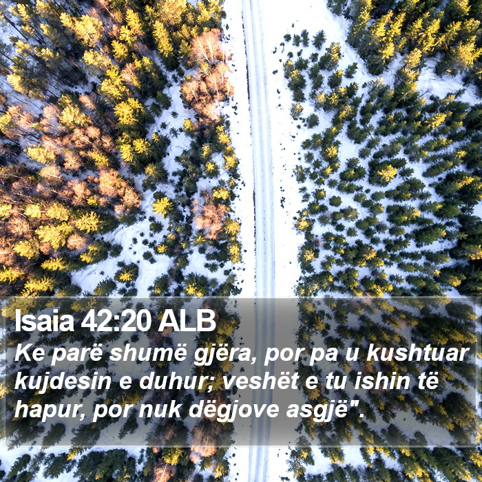 Isaia 42:20 ALB Bible Study