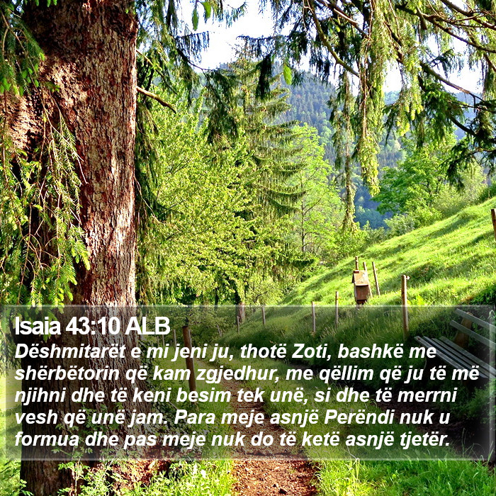 Isaia 43:10 ALB Bible Study