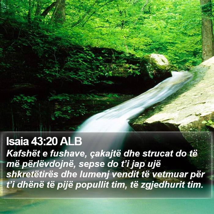 Isaia 43:20 ALB Bible Study