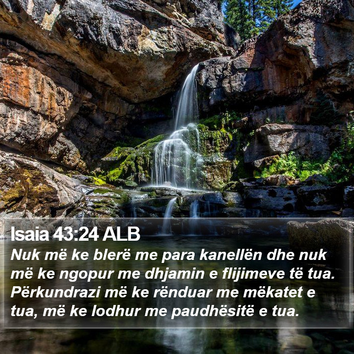 Isaia 43:24 ALB Bible Study
