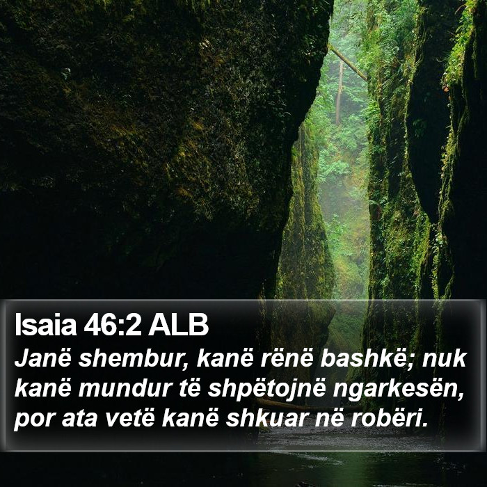 Isaia 46:2 ALB Bible Study