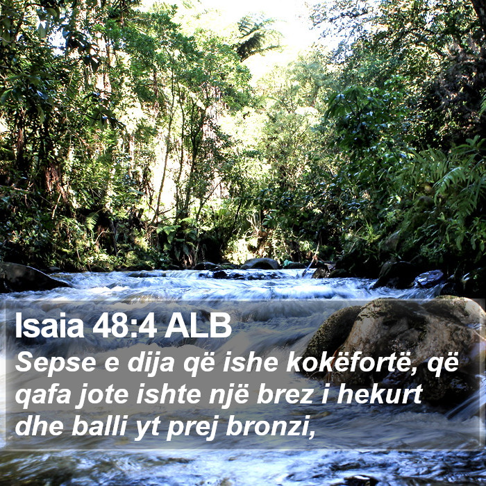 Isaia 48:4 ALB Bible Study