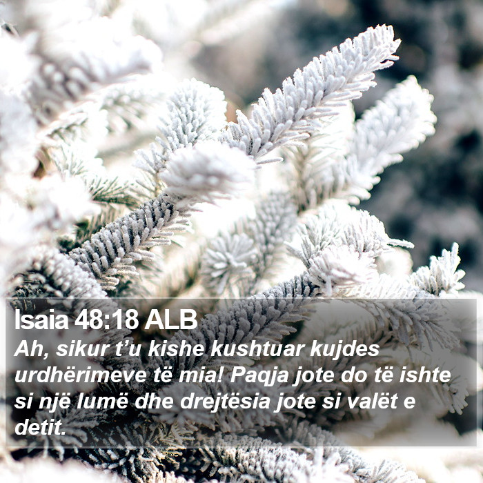 Isaia 48:18 ALB Bible Study