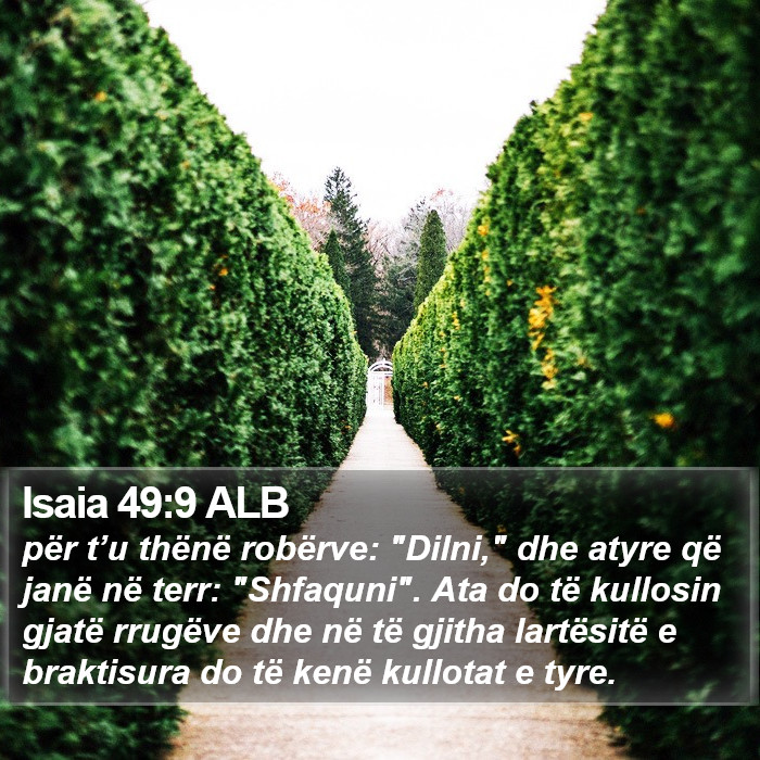 Isaia 49:9 ALB Bible Study
