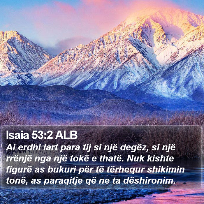 Isaia 53:2 ALB Bible Study