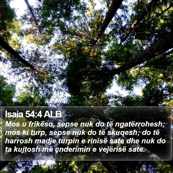 Isaia 54:4 ALB Bible Study