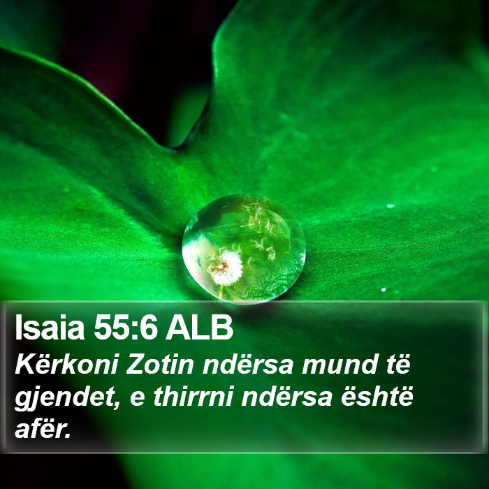 Isaia 55:6 ALB Bible Study