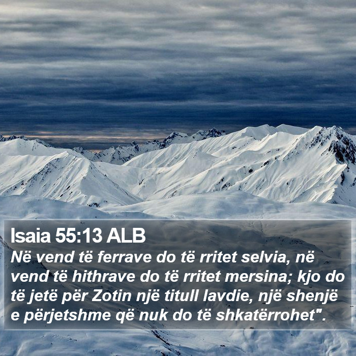 Isaia 55:13 ALB Bible Study