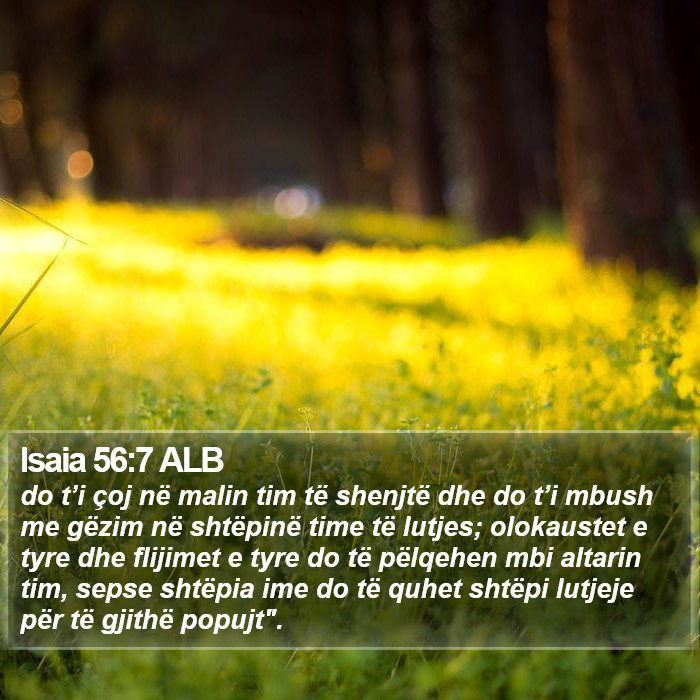 Isaia 56:7 ALB Bible Study