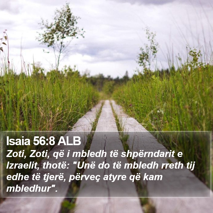 Isaia 56:8 ALB Bible Study