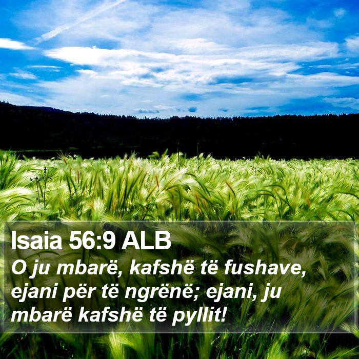 Isaia 56:9 ALB Bible Study