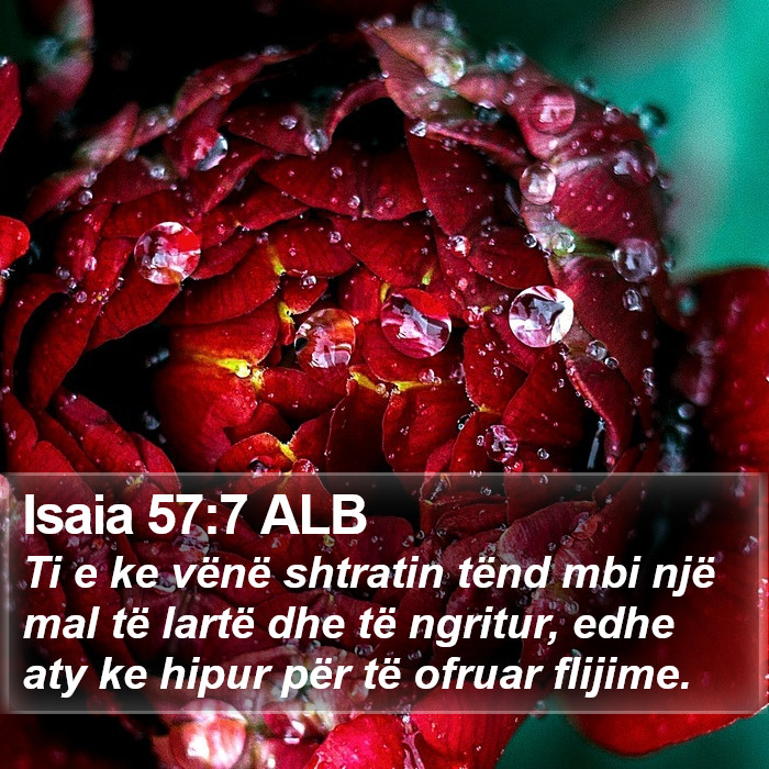 Isaia 57:7 ALB Bible Study