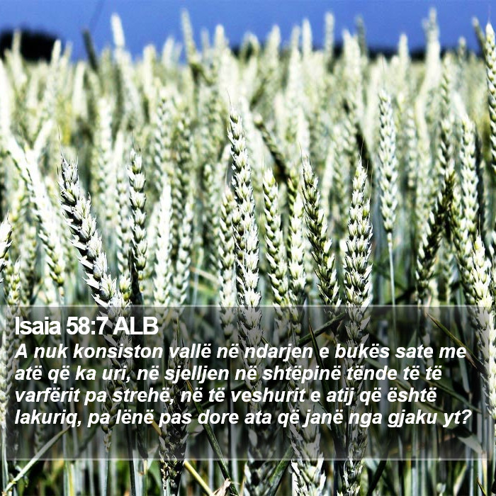 Isaia 58:7 ALB Bible Study