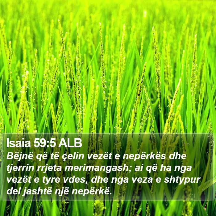 Isaia 59:5 ALB Bible Study