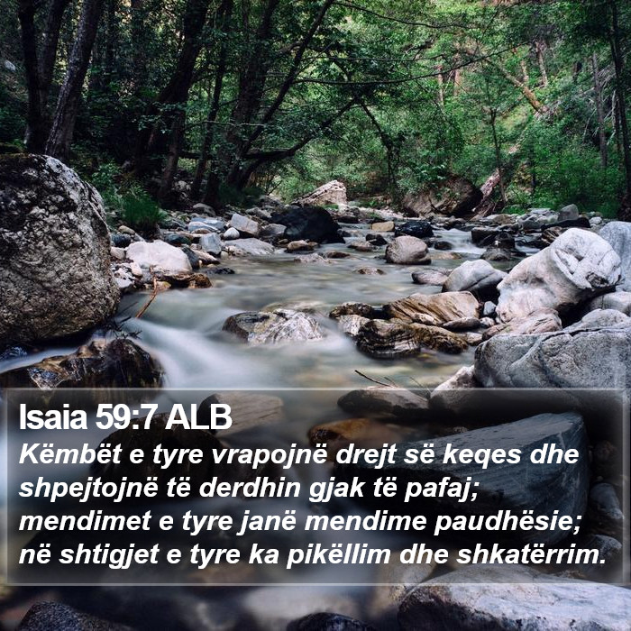 Isaia 59:7 ALB Bible Study