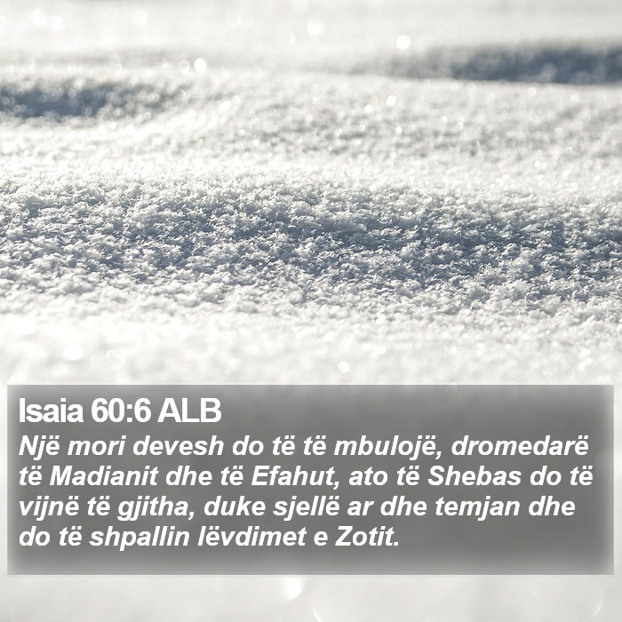 Isaia 60:6 ALB Bible Study