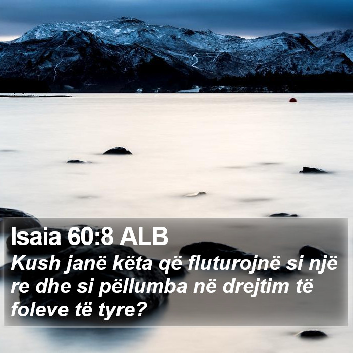 Isaia 60:8 ALB Bible Study