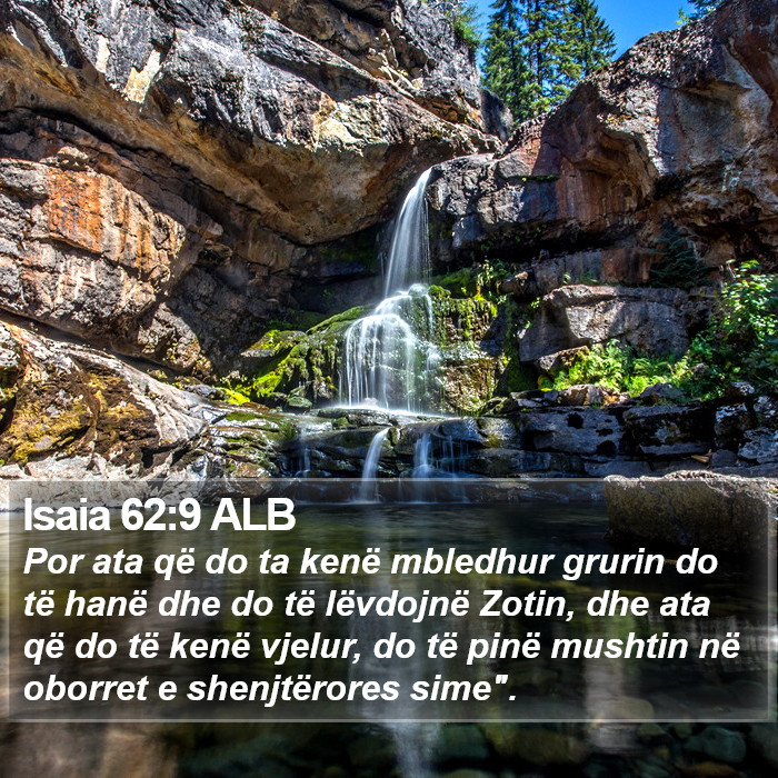 Isaia 62:9 ALB Bible Study