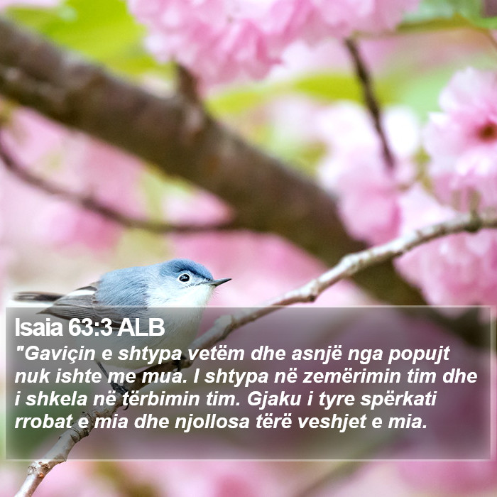 Isaia 63:3 ALB Bible Study