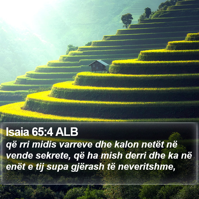 Isaia 65:4 ALB Bible Study