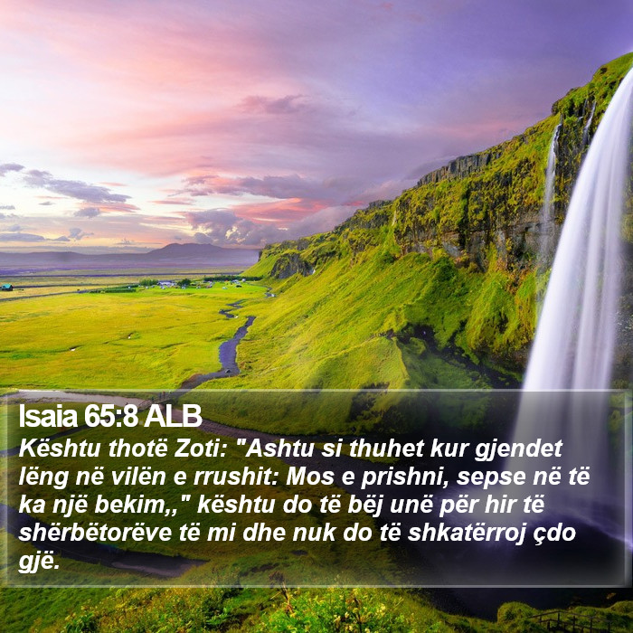 Isaia 65:8 ALB Bible Study