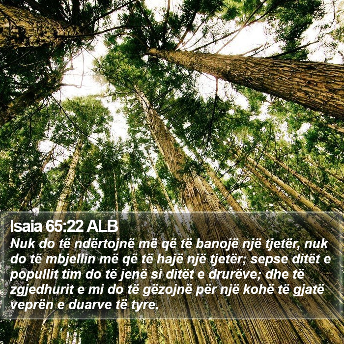 Isaia 65:22 ALB Bible Study