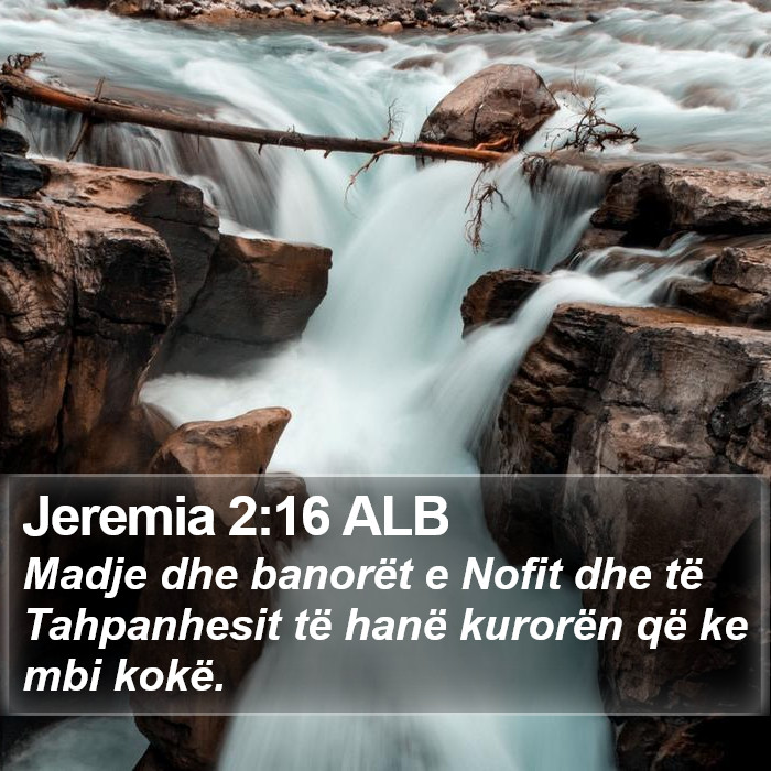 Jeremia 2:16 ALB Bible Study