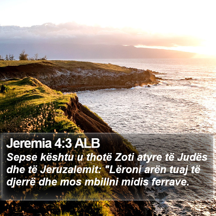 Jeremia 4:3 ALB Bible Study