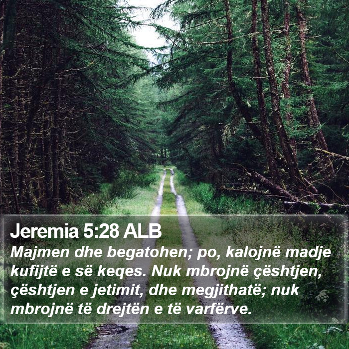 Jeremia 5:28 ALB Bible Study