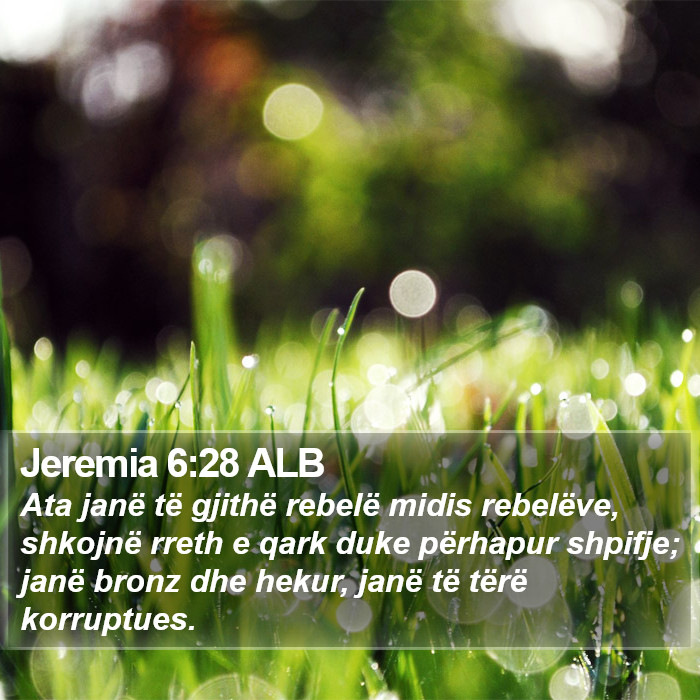 Jeremia 6:28 ALB Bible Study
