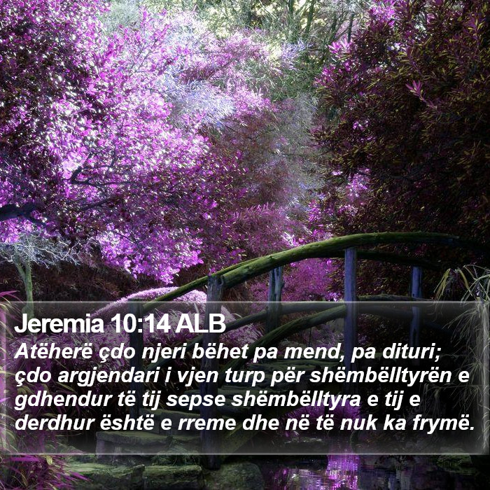 Jeremia 10:14 ALB Bible Study