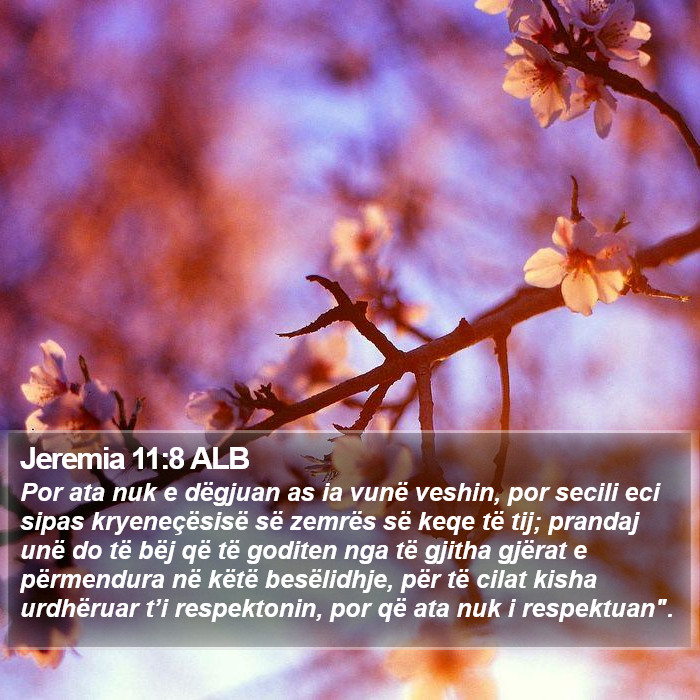 Jeremia 11:8 ALB Bible Study