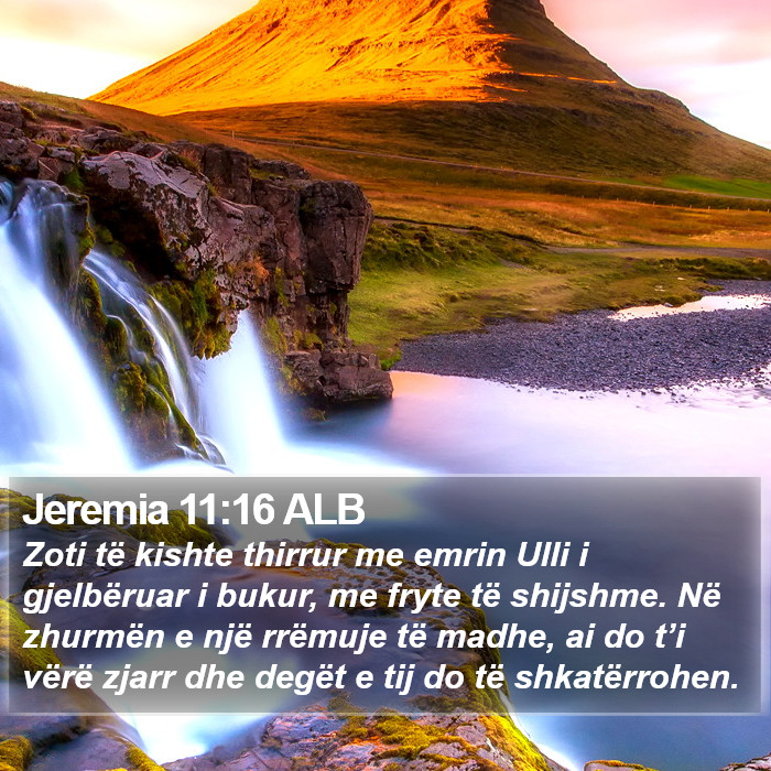 Jeremia 11:16 ALB Bible Study