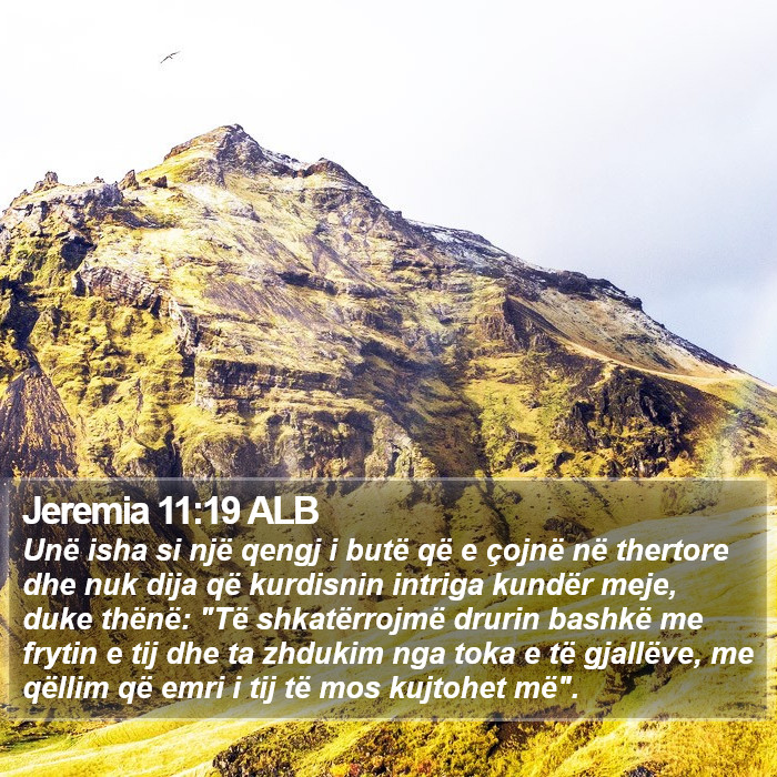 Jeremia 11:19 ALB Bible Study