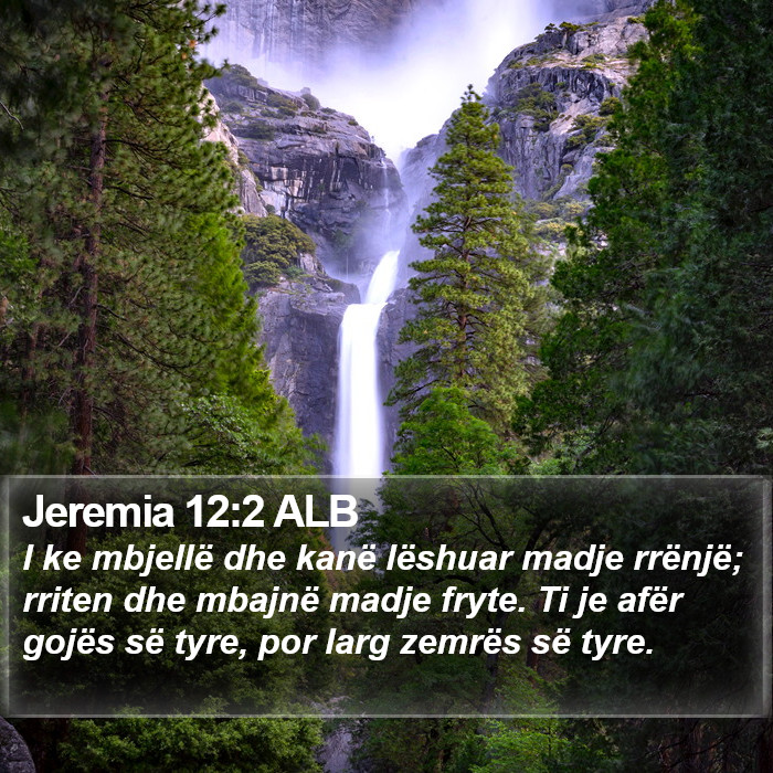 Jeremia 12:2 ALB Bible Study