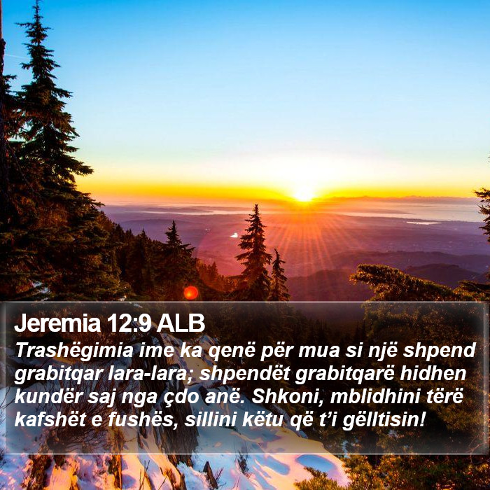 Jeremia 12:9 ALB Bible Study