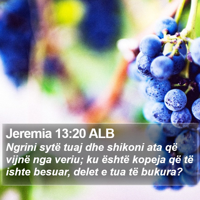 Jeremia 13:20 ALB Bible Study