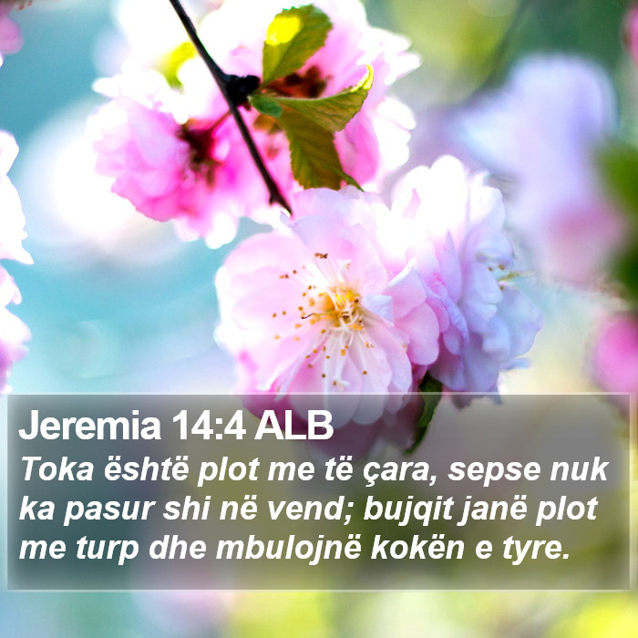 Jeremia 14:4 ALB Bible Study