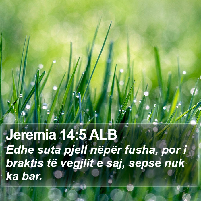 Jeremia 14:5 ALB Bible Study