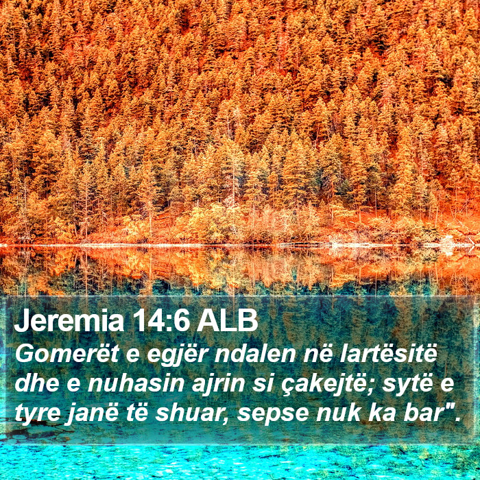 Jeremia 14:6 ALB Bible Study