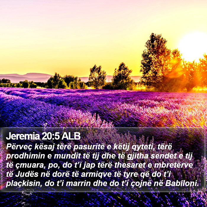 Jeremia 20:5 ALB Bible Study