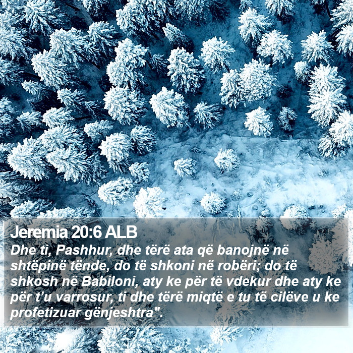 Jeremia 20:6 ALB Bible Study