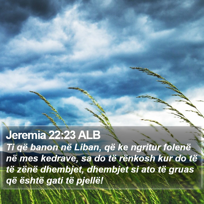 Jeremia 22:23 ALB Bible Study